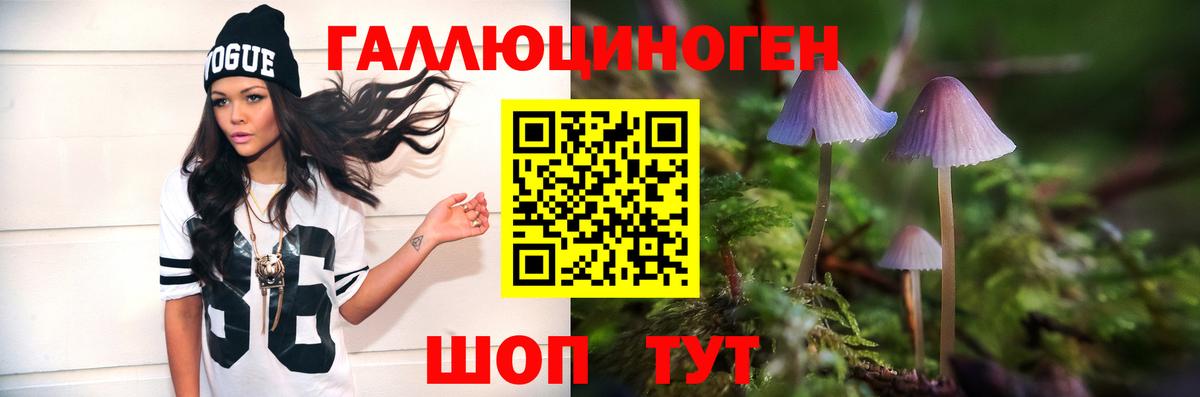 Псилоцибиновые грибы Psilocybine cubensis  Вход с VPN  Зима  Галлюциногенные грибы прущие грибы 
